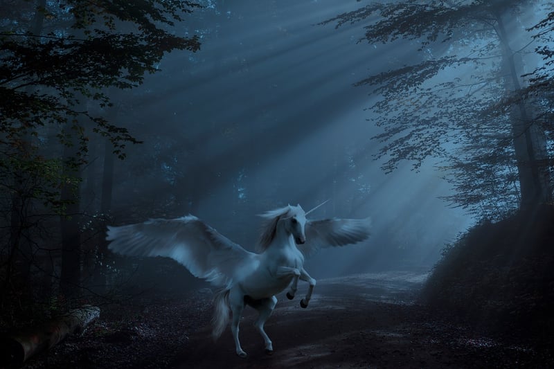 Unicorn meadows